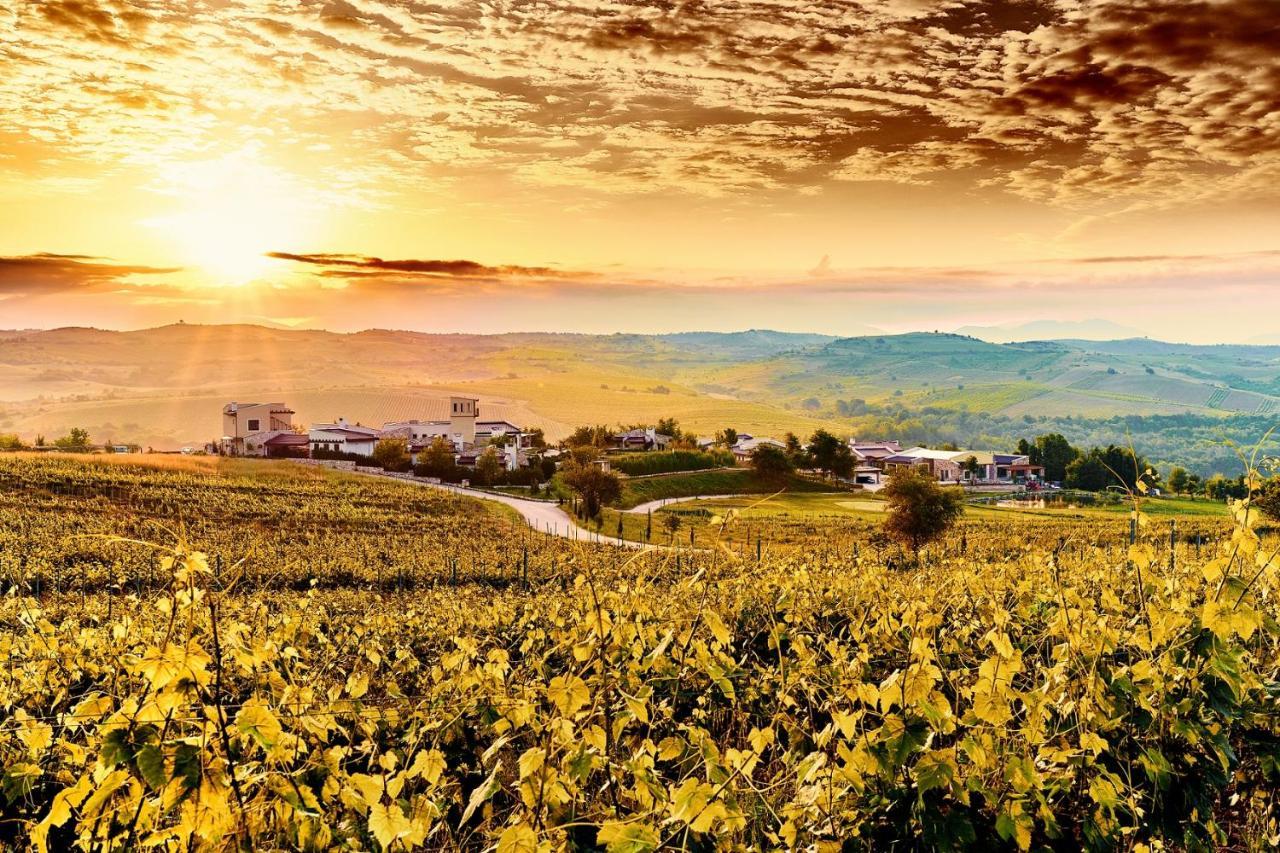 Zornitza Family Estate Relais & Chateaux ميلنيك المظهر الخارجي الصورة