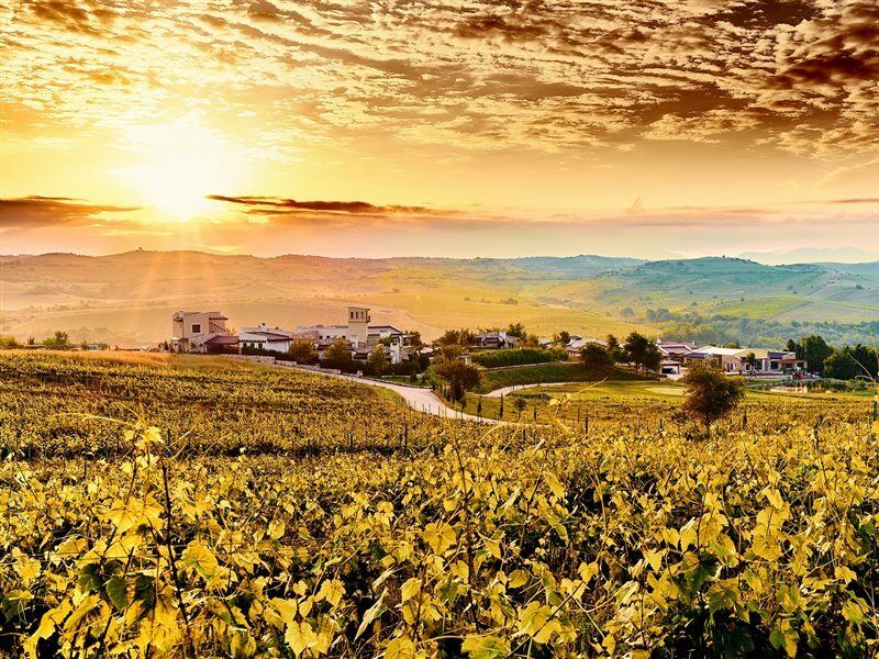 Zornitza Family Estate Relais & Chateaux ميلنيك المظهر الخارجي الصورة